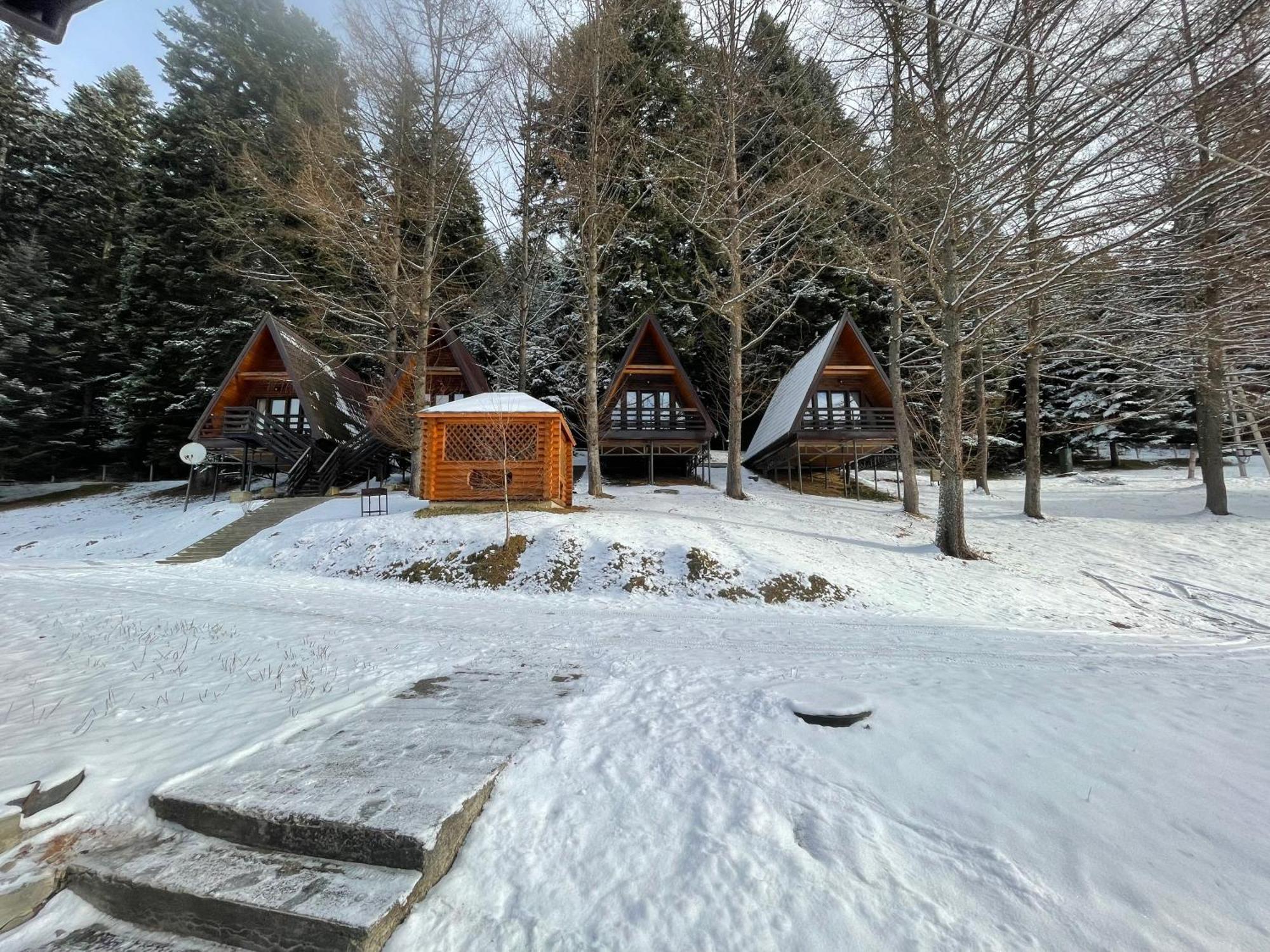 Karpatskyy Villa Rozluch ภายนอก รูปภาพ