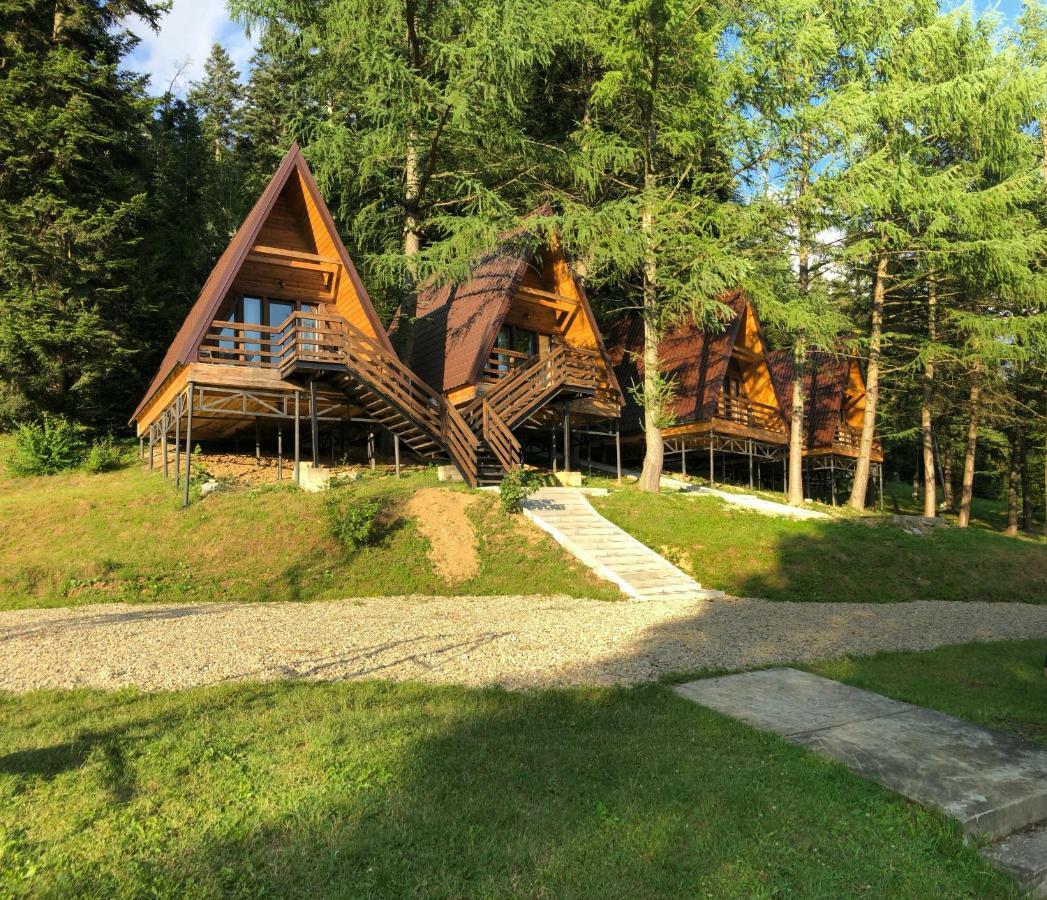 Karpatskyy Villa Rozluch ภายนอก รูปภาพ